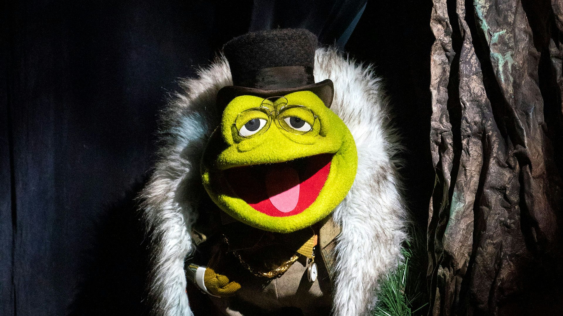 Doc Bullfrog puppet.