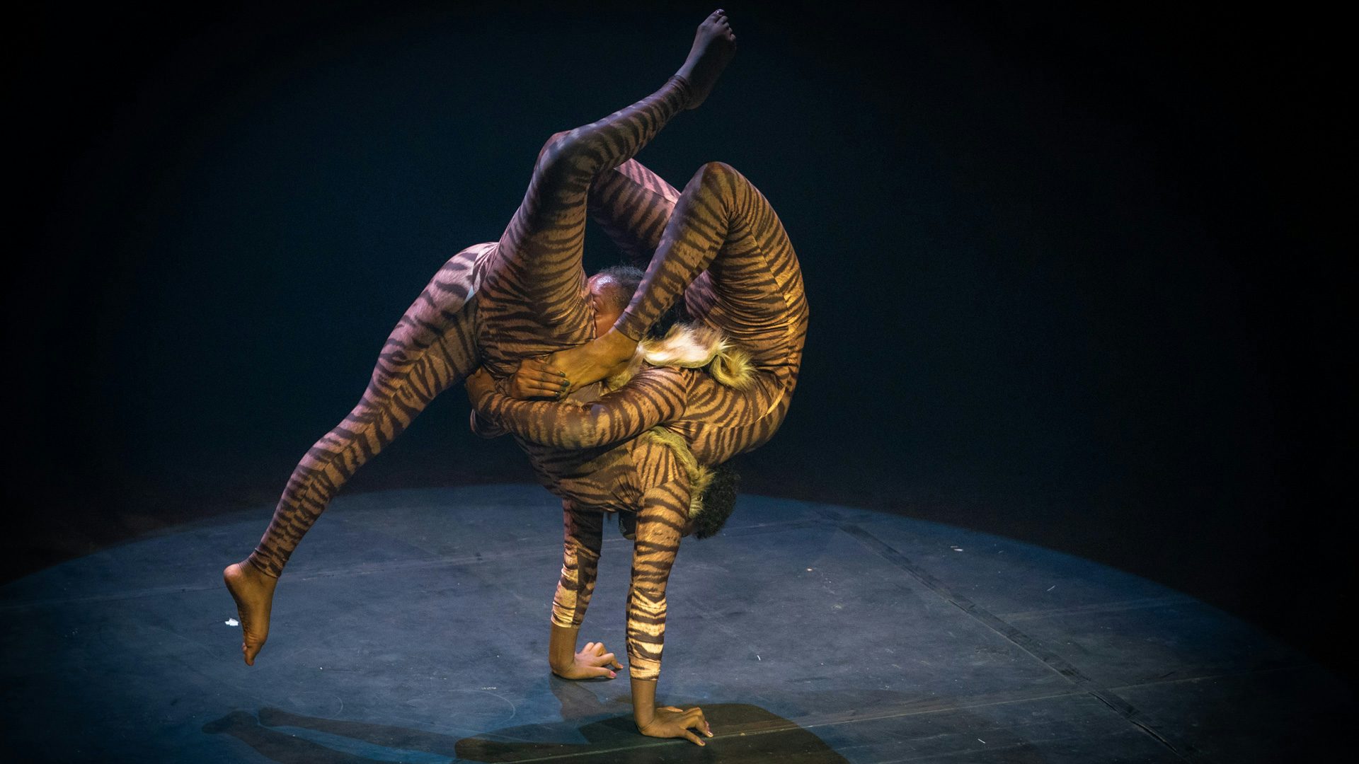 A contortionist wraps herself around the body of another contortionist, who is balancing on her hands.