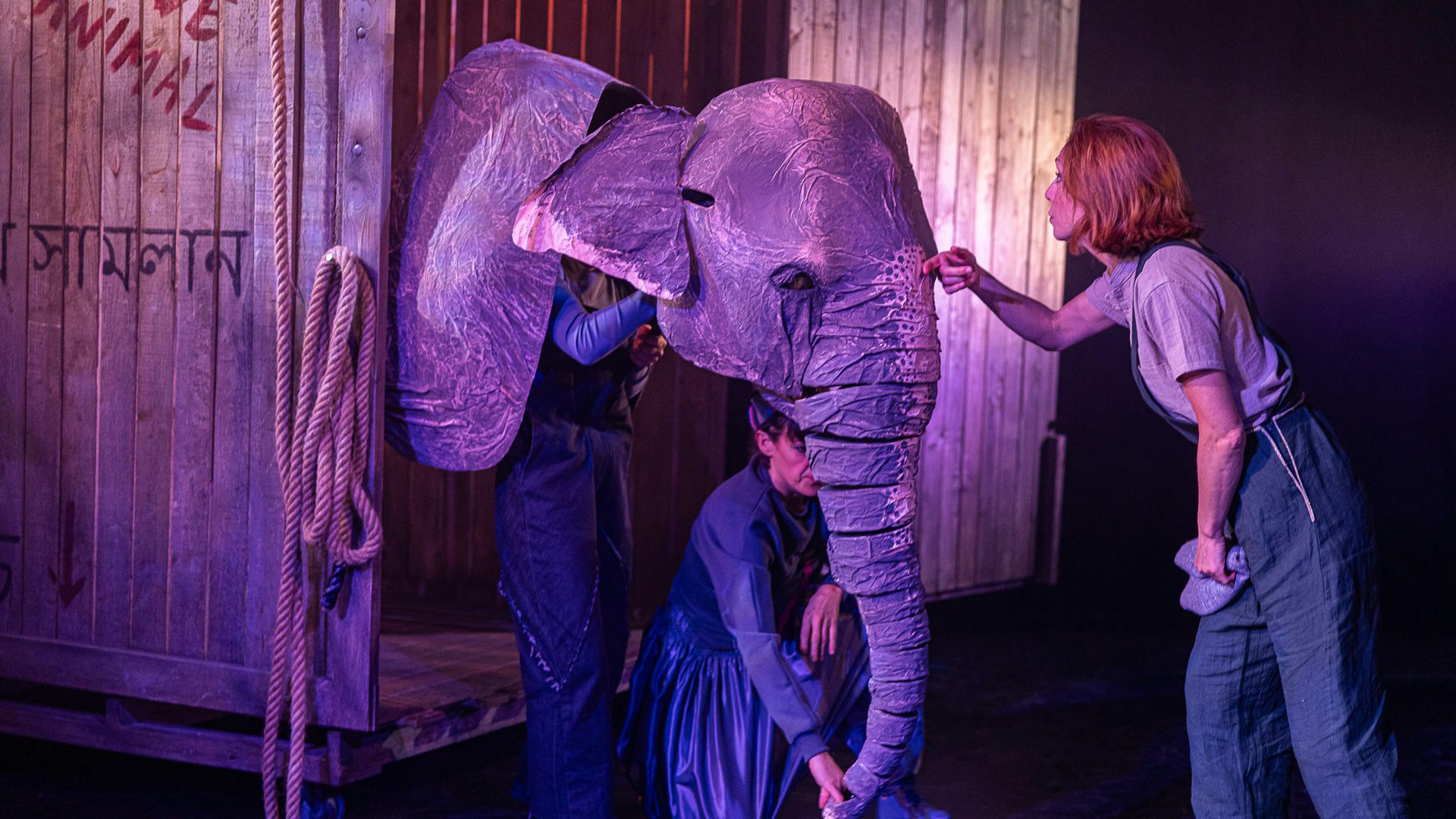 Person carressing the forehead of an elephant puppet