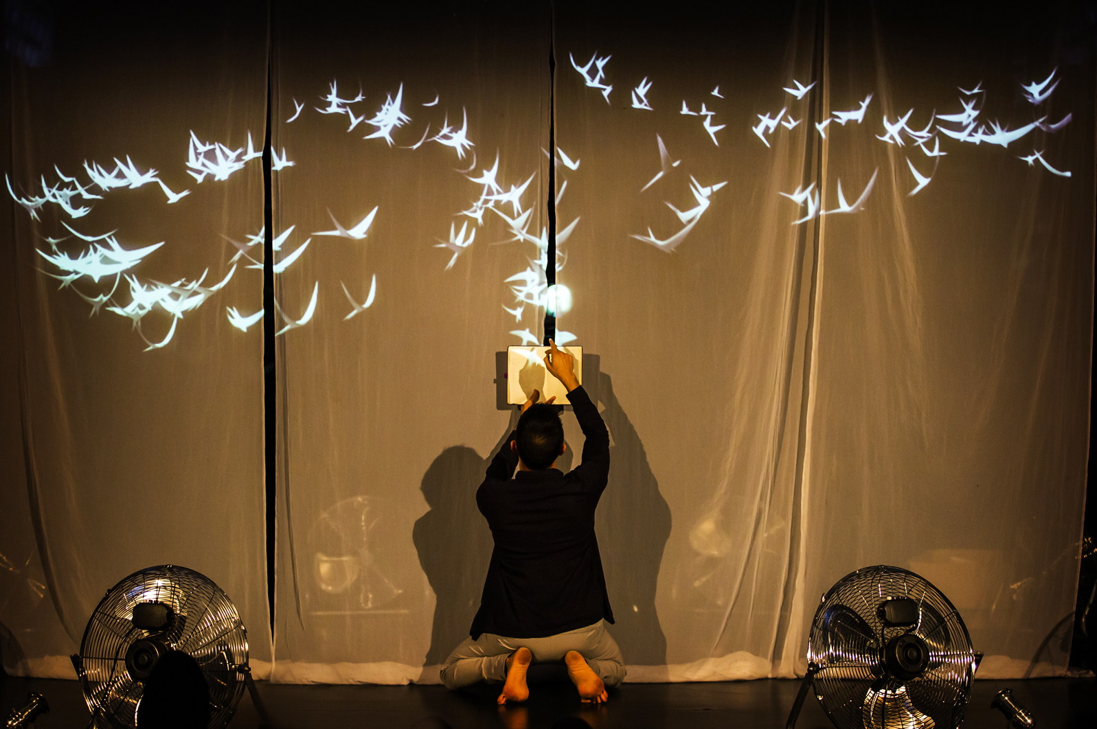 A male-presenting dancer facing a curtain and holding a book up while projected birds fly out of the book.