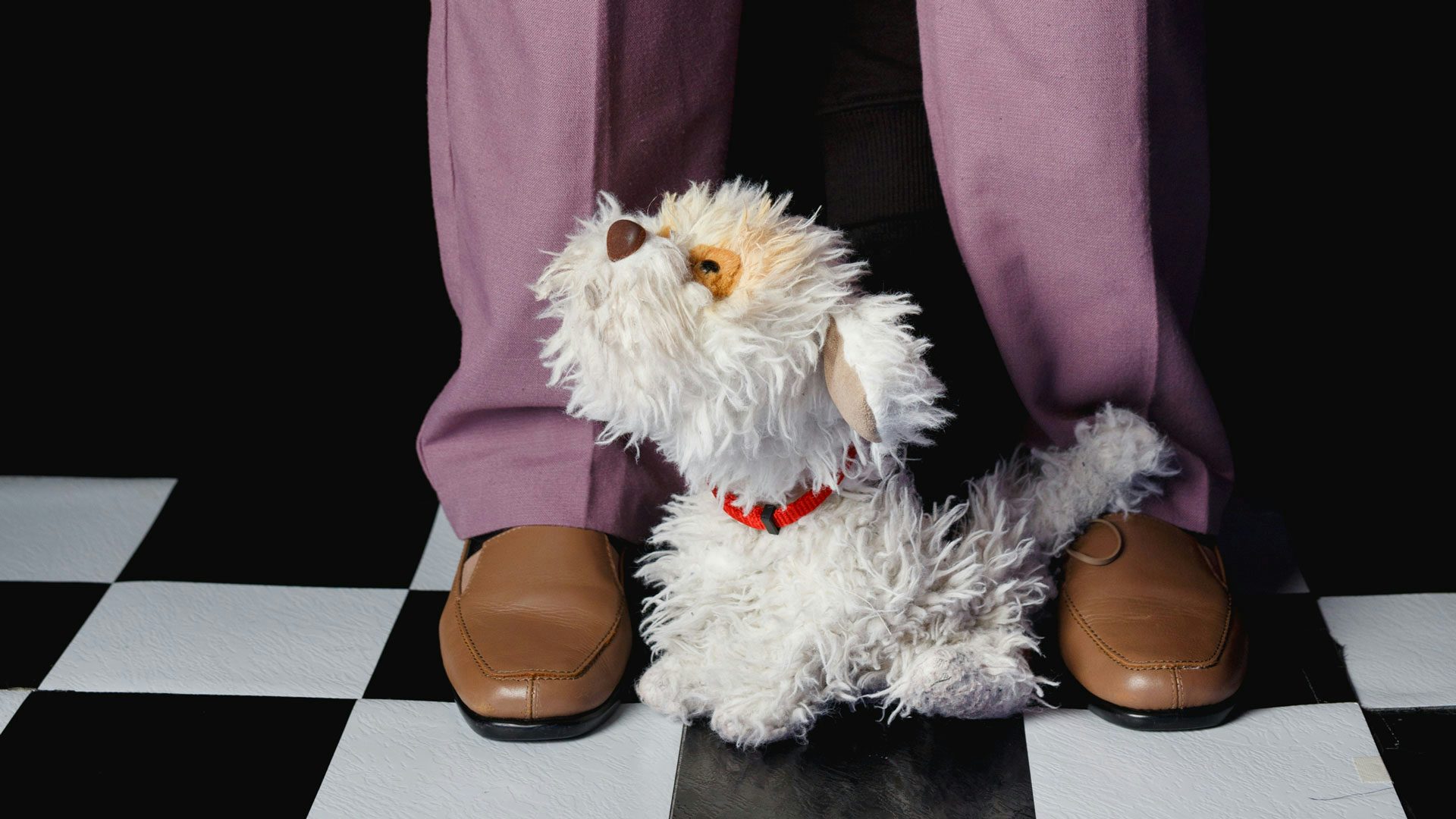A fluffy white dog puppet with a brown nose and red collar sits on a black and white checkered floor looking up at a person wearing brown shoes and purple pants.